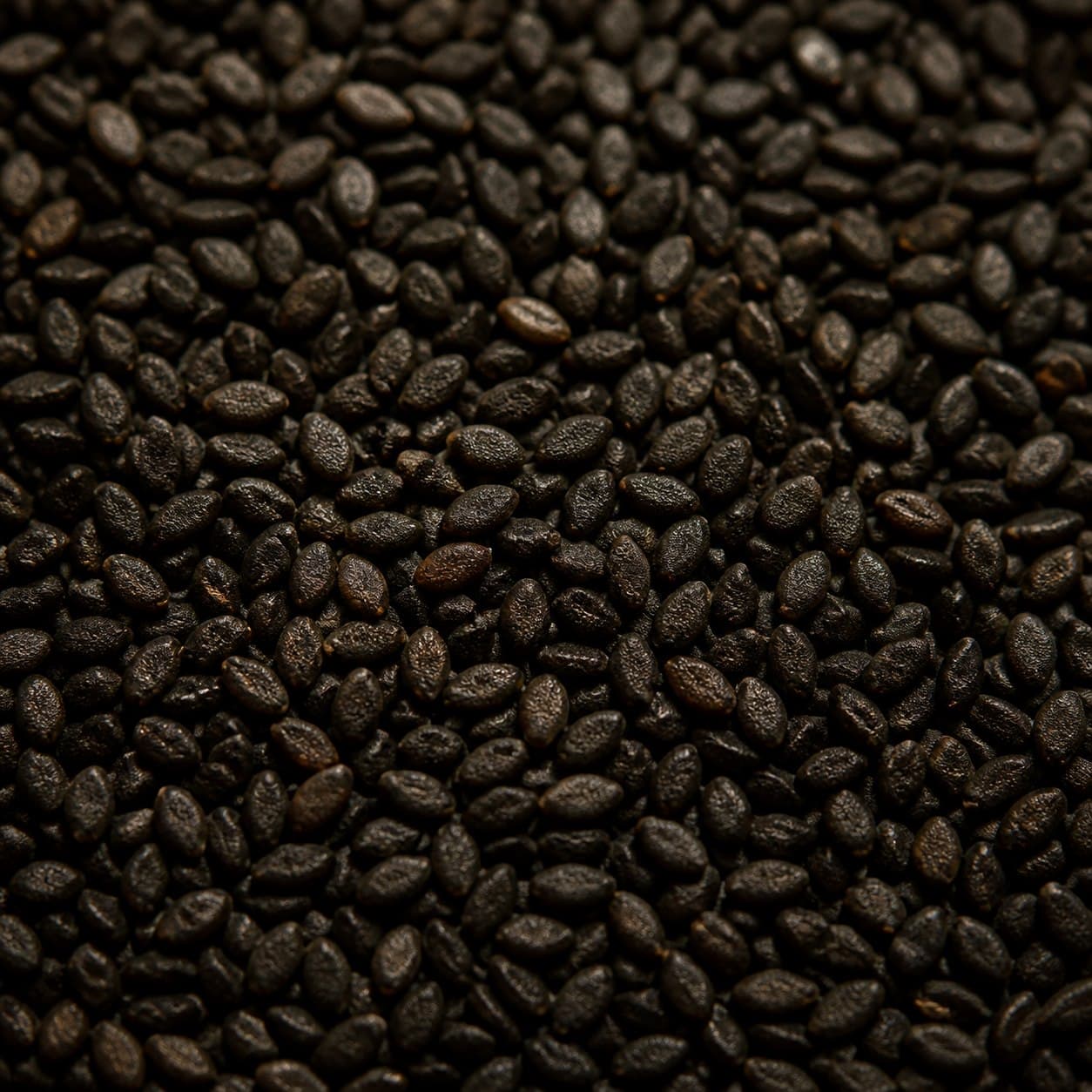 Macro photograph of small oval black sesame seeds