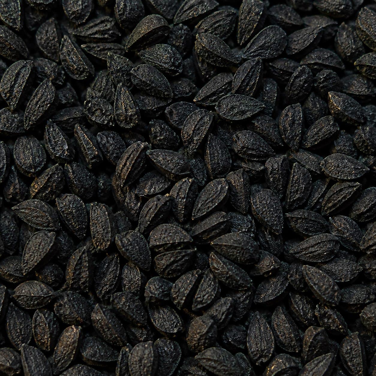 Macro photograph of textured angular black seeds